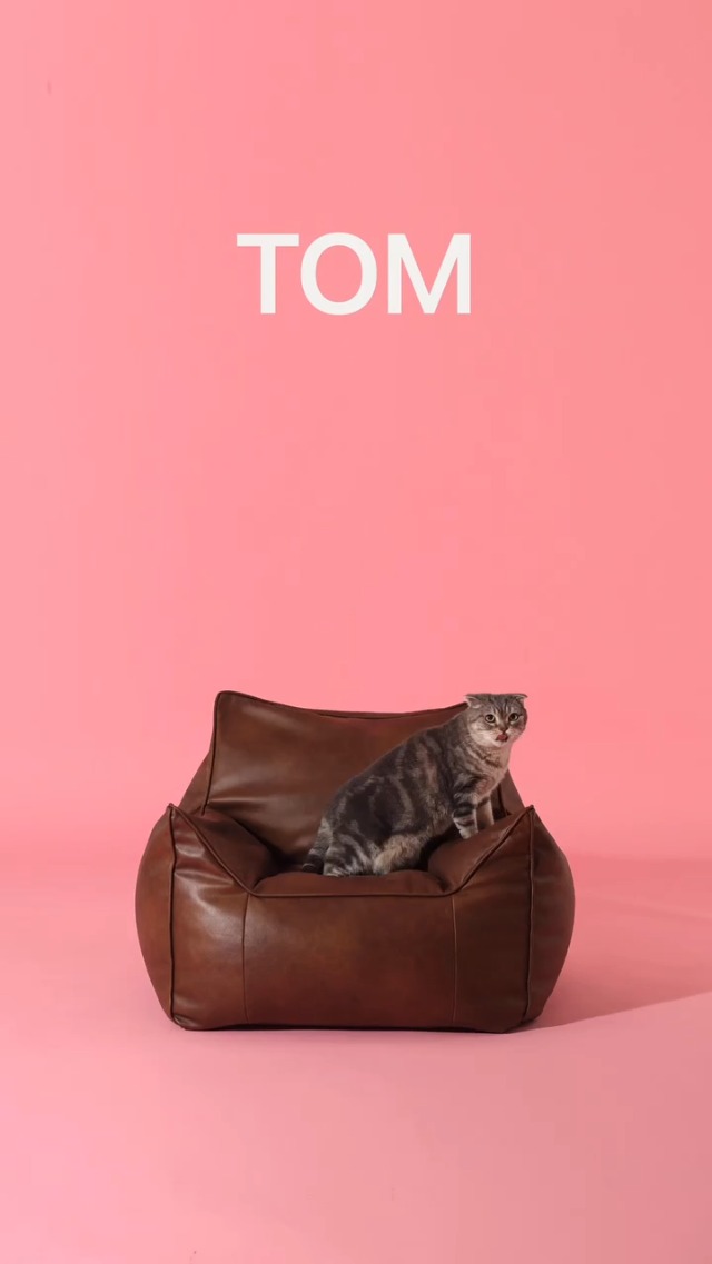 Amazon.co.jp: Flasier フレジア TOMBEANBAG トムビーンバック TOM 1人