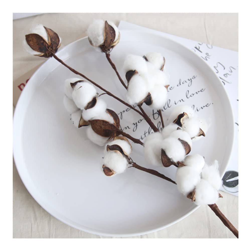 XDLEDMKIZ Lifelike Artificial Flowers,Faux Cotton Flower Branches Dried Cotton,Simulation Cotton Floral Stems Farmhouse Decorations