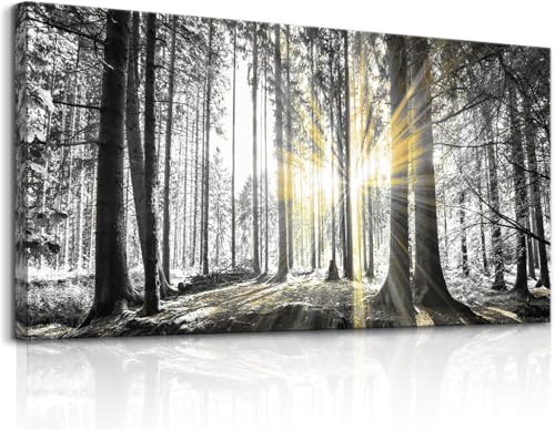 Yxbhhym-Black and White Forest Wall Art Prints Sunset Landscape Canvas Picture for Living Room Wall Art Trees Artwork for Walls Nature Scenery Poster Painting Bedroom Decor Home Office Decorations