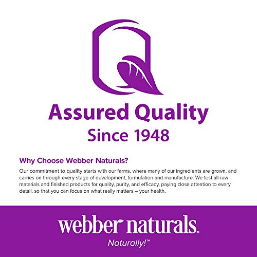 Webber Naturals Apple Cider Vinegar Capsules - Image 5