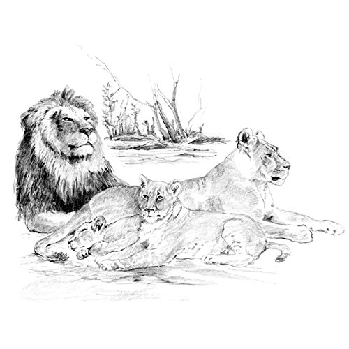 Royal Brush 16-Inch by 12.75-Inch Sketching Made Easy, Large, Lion Pride