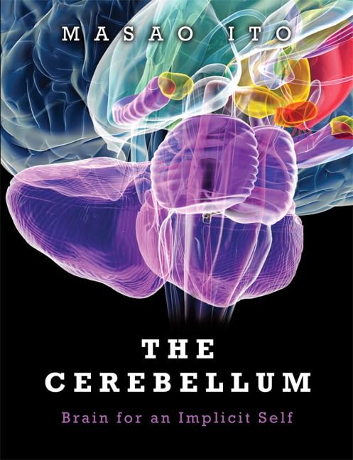 Buy Cerebellum, The: Brain for an Implicit Self — BookShops.in