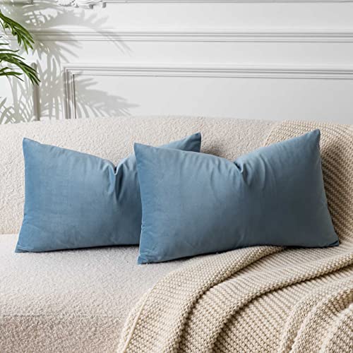 Image of JUSPURBET Light Blue Throw Pillow Covers Set of 2 Decorative Velvet Pillow Covers for Couch Sofa Bed Soft Lumbar Cushion Covers with Invisible Zipper for Living Room Home Decor,14x24 inch