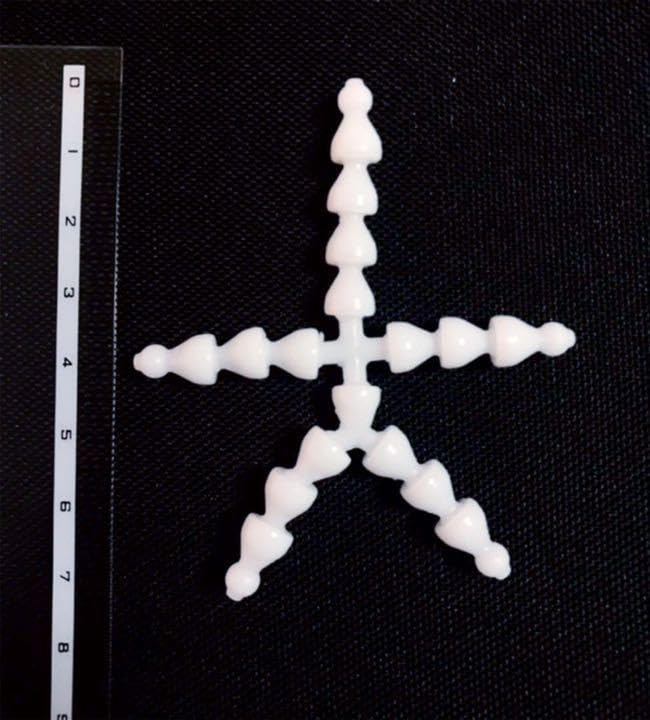 Amazon.co.jp: トイスケルトン 10cm ぬいぐるみ sssサイズ使用 5個