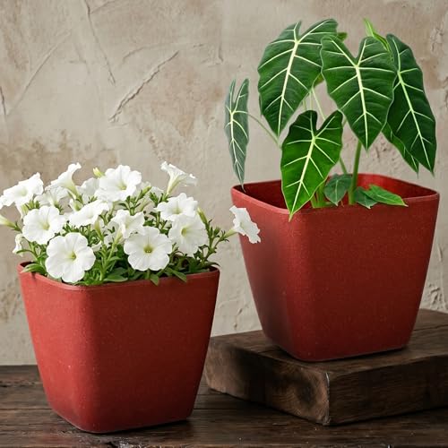 Image of Eha Set of 2 Earth-Friendly Daisy 7 inch Self-Watering pots and Planters | Bamboo Based | UV Protected | for Indoor, Home Decor, Outdoor, Balcony & Garden | Coral