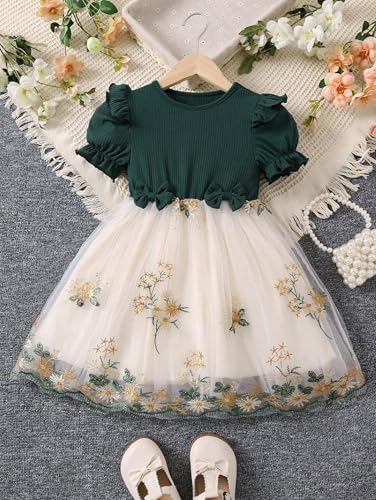 Image of TAGAS Girls' Princess Dress | Girl Dress |Dresses birthdaydress for Babygirls |