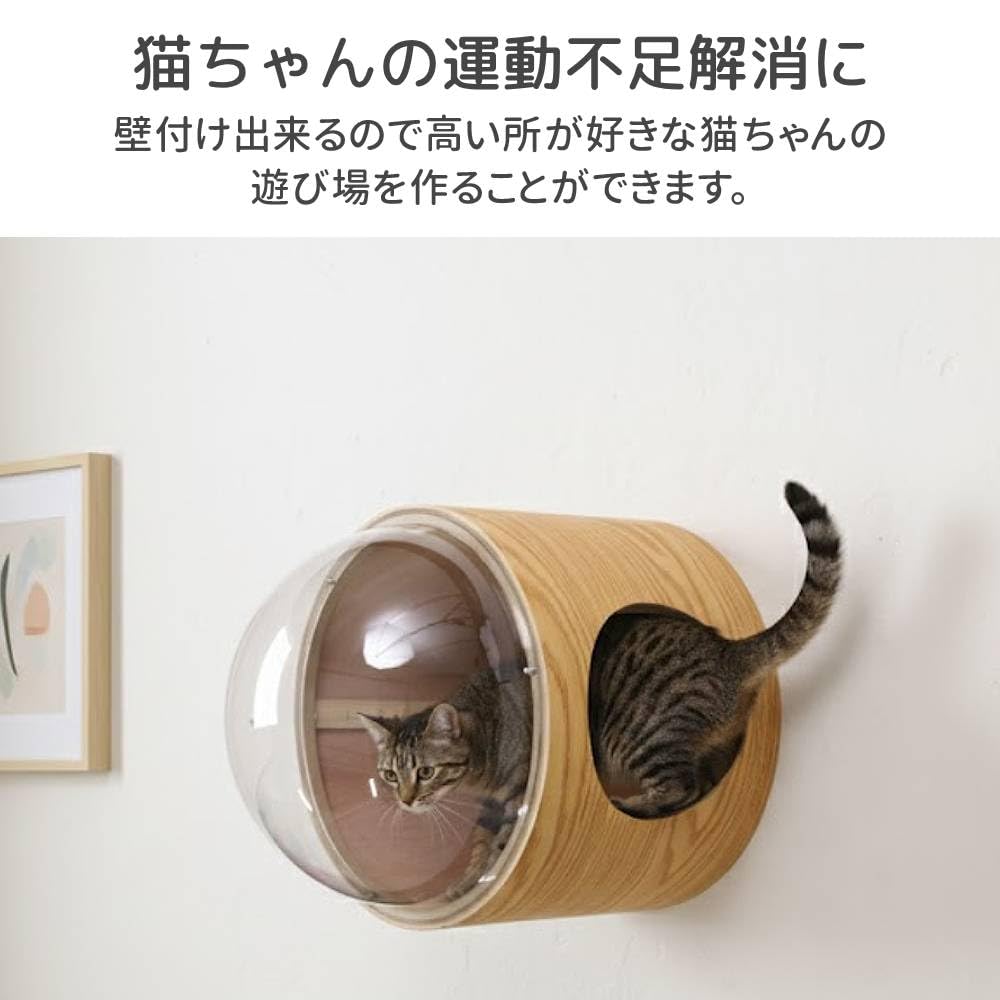 Amazon | iimono117 宇宙船 猫 壁 キャットステップ 【 壁 床 2WAY