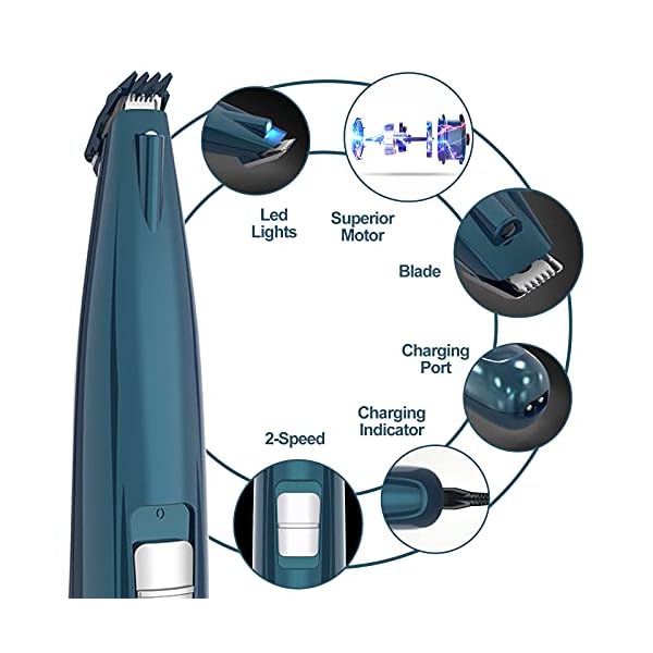 Pet Foot Hair Clipper with Led Light Professional Pet Hair Trimmer Pet Grooming Kit USB Rechargeable Electric Clipper for Hair Around Face Eye Ear Rump Paw Kit Pet Foot Hair Clipper with Led Light Professional Pet Hair Trimmer Pet Grooming Kit USB Rechargeable Electric Clipper for Hair Around Face Eye Ear Rump Paw Kit