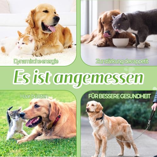 Probiotika Hund, Probiotika Katze, Darmflora Aufbauen Hund und Katzen, 80 Tabletten, Vitamin A, Vitamin B1, Vitamin B2, Fördert Die Verdauungsgesundheit und Beugt Fettleibigkeit Vor, Katzen und Hunde