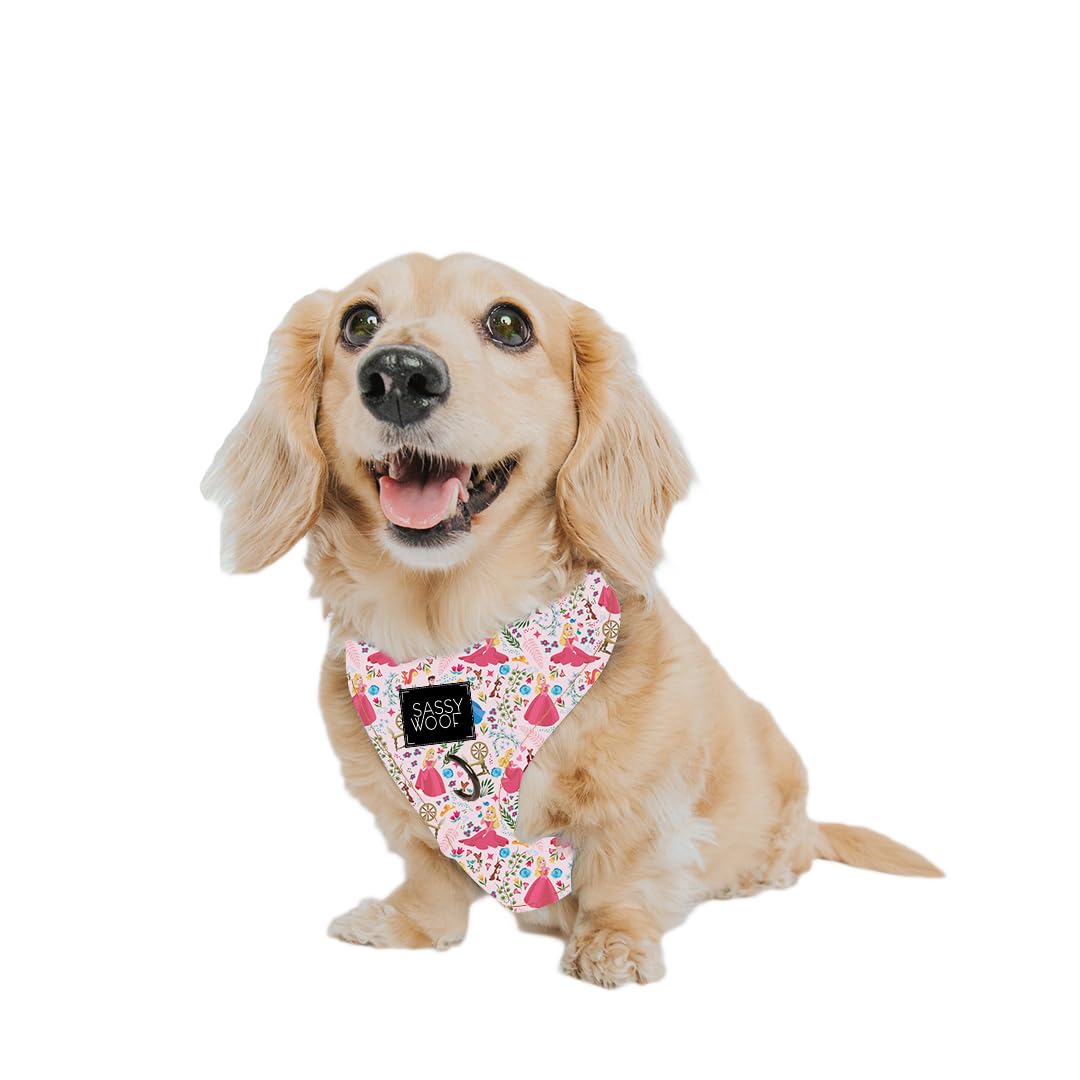 Service Dog Harness Dog Four Piece Bundle Hello Kittyu00ae Red