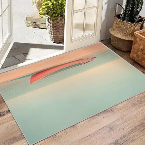 Tapis lavable en machine 160x200 contre les taches du salon - 7