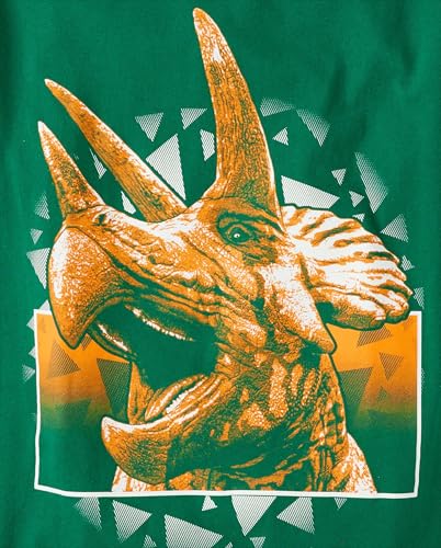 The Children's Place,Boys,Dino Short Sleeve Graphic T-Shirts,Multipacks,Triceratop/Dino Galaxy 2-Pack,Large3