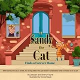 Sandy the Cat: Finds a Forever Home