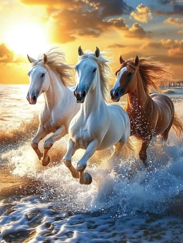 5D Cheval Diamond Painting de Haute Précision Toile Complète 70x90cm Décoration Murale