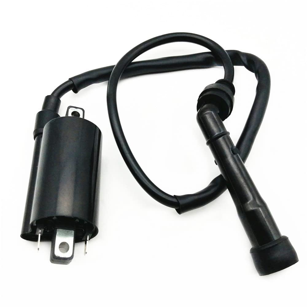 TENREVMotorcycle Parts Wangjiang GN250 GN 250 Ignition Coil With Wire & Plug Cap OEM Quality For GN250 250 300 250CC gn250