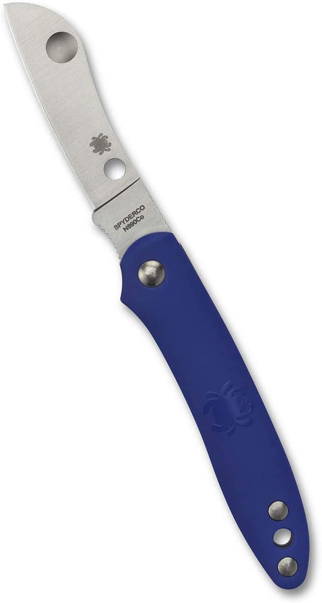 Spyderco Roadie Folding Pocket Knife with 2" N690Co Steel Blade and FRN Handle - EDC Knife for Men and Women, Perfect for Hunting, Tactical, Camping, Survival, Hiking - PlainEdge - C189PBL