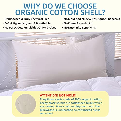 LOFE Organic King-Size Pillow with Pillowcase - 20x36, Natural Organic Cotton Zippered Shell, Adjustable Loft, Machine Washable and Hypoallergenic, for Side and Back Sleepers, Youth, Adults