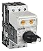 Manual Mtr Protector, 32A, Rotary, Frame D