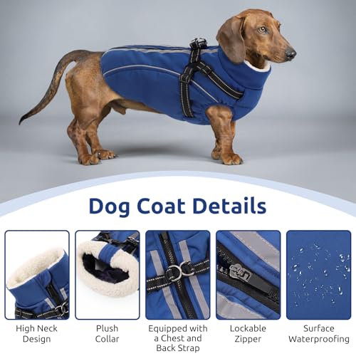 CITÉTOILE Hundemantel Hundejacke Warm Wintermantel mit Reißverschluss Winddichte & Winddichte mit Reflektorstreifen & Brustgurt für kleine Mittel Große Hunde Blau M