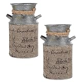 Kisangel Blumenkübel-Set Aus Eisen Rustikaler Silberner Pflanzkübel Für Die Dekoration 2 Stück