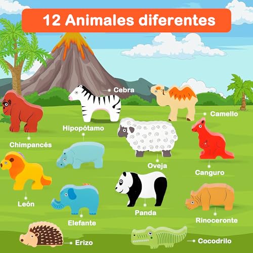 Preescolar, juguetes preescolares ludoteca Marca XIAOYANGKEJI (2)