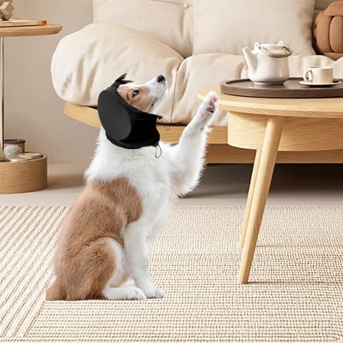 Reviews y listado de Cancel para perros Top cinco. 5 Imagen adicional