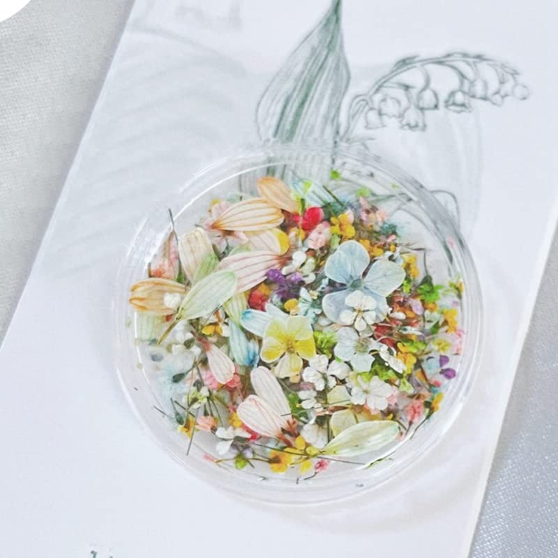 Amazon.co.jp: AAGWW ドライフラワー ネイルパーツ 押し花 天然花 花