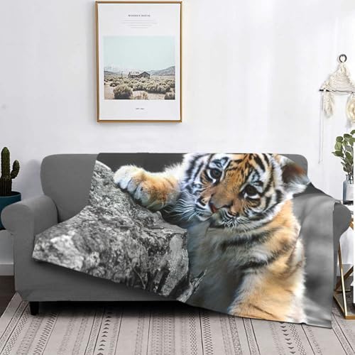 Couverture de lit légère en microfibre pour des soirées cocooning cosy
