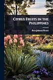 Citrus Fruits in the Philippines