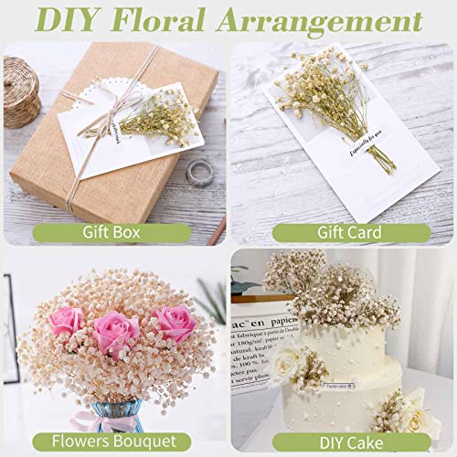 Dried Babys Breath Flowers Bouquet-17 Inch 2500+ Ivory White Dry Flowers, Natural Gypsophila Branches For Wedding, Table Vase Decor, Diy Wreath Floral, Home Office Party Garden Decoration (3Oz) #TOP6