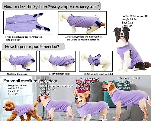 Image of Dog Recovery Suit Female Spay Surgery Small Puppy Onesie, Zipper Closure Cotton Striped Wounds Protect Surgical Suit, Plain Purple XS