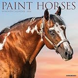 Paint Horses 2026 Wall Calendar