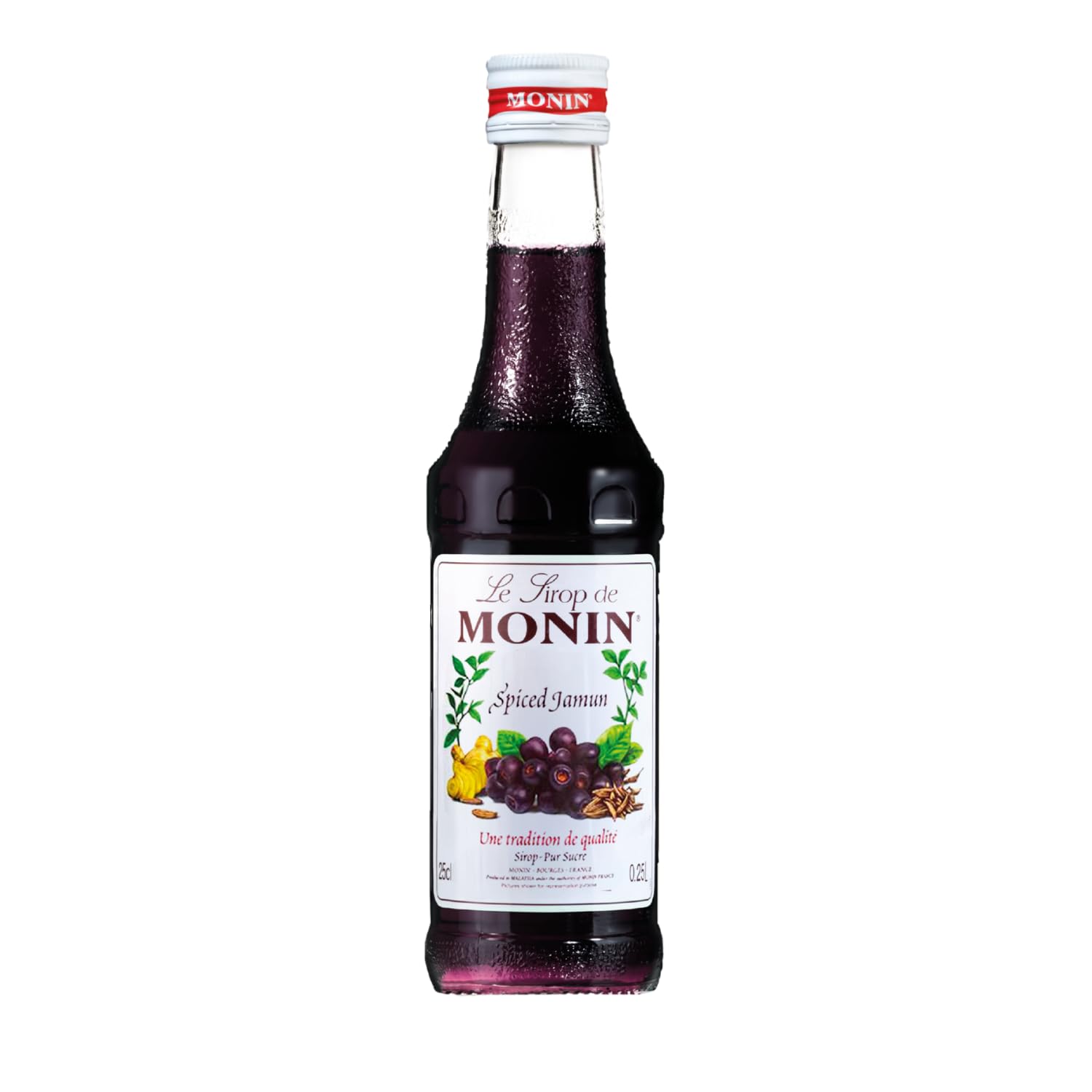 Monin Syrup Spiced Jamun Flavor 250 ml (Imported)-image-29