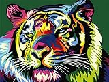 5D diamant peinture ensemble animal, couleur, Lion, broderie diamant rond, image mosaïque, point de croix, décoration bricolage A13 30x40 cm