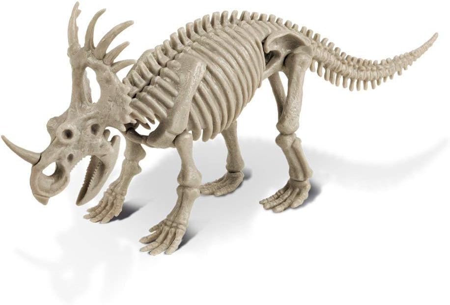 Dr. Steve Hunters cl1669 K – Dino Excavation Kit, Styracosaurus Skeleton