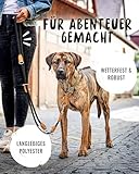 Rudelkönig Führleine Emma 2,30m - Verstellbare Hundeleine für mittelgroße & große Hunde - Elegante Tauleine in schwarz