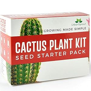 Cactus Kit – Grow Your Own Cacti Plants Indoors – Unusual Gardening Gift – Cactus Seeds, Pots, Soil – Perfect for Gifts…