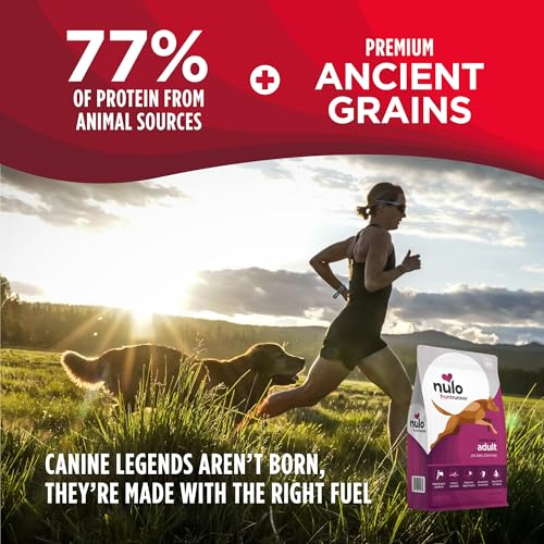 Image of Nulo Frontrunner Dry Dog Food - Adult High-Protein Pork, Barley & Beef Recipe, Natural Kibble with Ancient Grains, Probiotics, Taurine, Omega 3 for Small, Medium and Large Breeds, 25lb Bag