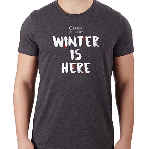 Image of Free Authority Men's Printed Regular fit T-Shirt (STY-20-21-000723 Charcoal XX-Large)
