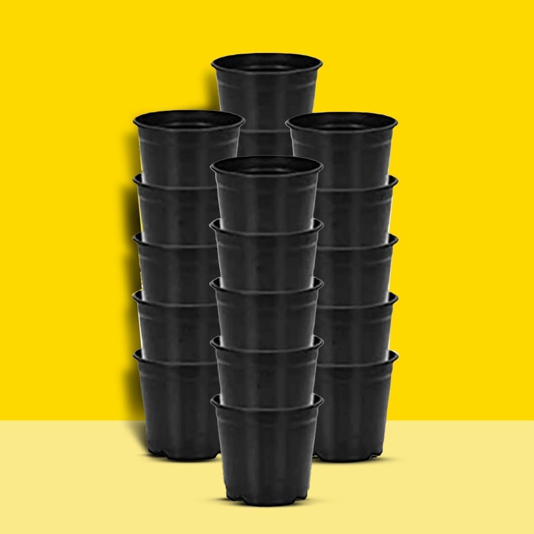 Plastic Flower Pots 6 Inch | Black Nursery Plant Pots for Indoor & Outdoor Gardening | Lightweight, Durable Pots with Drainage for Seeds, Succulents & Saplings | Pack of 10-image-9