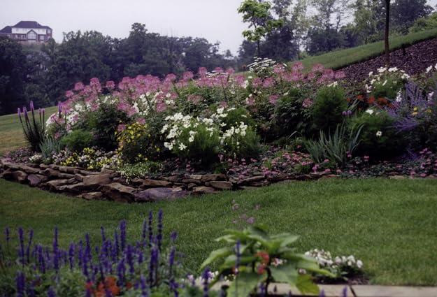 Miniatura 4 de 14-14-14 Plant Fertllizer Elite Nutrition - 15 libras de liberación lenta 120 días - Agregado en micros - Fertilizante ornamental y de paisaje (15