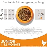 IAMS Junior Katzenfutter trocken mit Huhn - Trockenfutter für Kitten im Alter von 1-12 Monaten, 10 kg