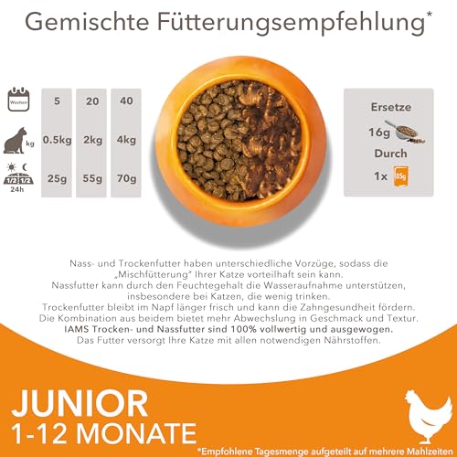 IAMS Junior Katzenfutter trocken mit Huhn - Trockenfutter für Kitten im Alter von 1-12 Monaten, 10 kg