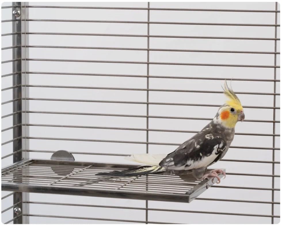 Image of Stainless Steel Bird Platform & Climbing Ladder Set (1 Platform + 1 Ladder) - Durable, Washable Cage Perch for Parakeets, Cockatiels, Conures (L)