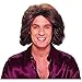 Feathered 70's Male Wig in Brown