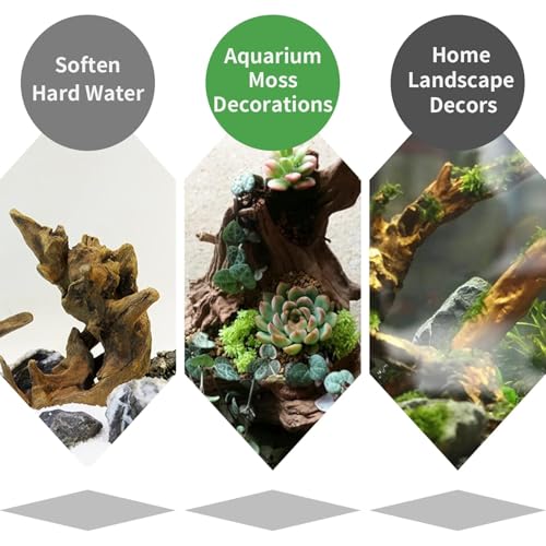 Image of Hamiledyi 3 Pcs Natural Driftwood for Aquarium 7-12 Inch Driftwood Branches Bearded Dragon Accessories Reptiles Aquarium Decoration Assorted Size Natural Habitat Decor Wood for Lizad