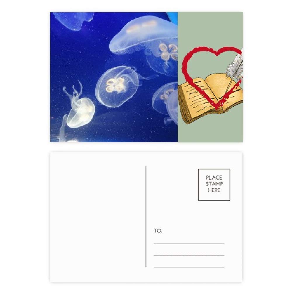 Ocean Jellyfish Science Nature Picture Diary Day Lot de 20 cartes postales de remerciement