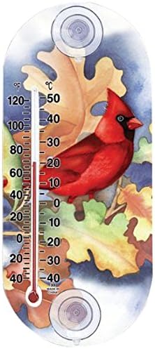 Chaney Instrument Suction Cup A Thermometer