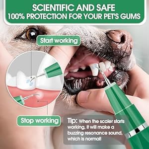Dog teeth cleaning kit with pet oral spray dog dental care plaque remover for teeth cleans and relieves tooth sensitivity universal for dogs cats dark green  urban country home decor