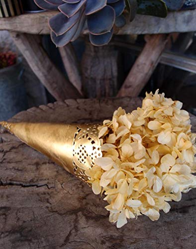 Paperlanternstore.com 11.5 Inch Round Gold Foil Doilies (50 Pack) #TOP4